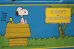 画像6: ct-180801-05 Snoopy and Woodstock / Thermos 1970's Lunchbox