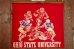 画像1: dp-180801-72 OHIO STATE UNIVERSITY / Vintage Football Banner (1)