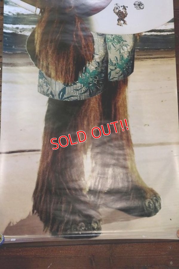 画像5: ct-180901-185 STAR WARS / Chewbacca /2012 Poster