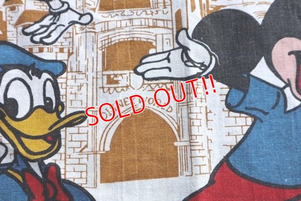 画像7: ct-180901-171 Walt Disney World / 1970's-1980's Fabric