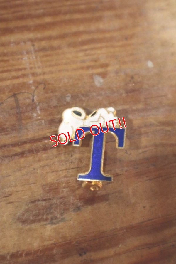 画像1: ct-180901-234 Snoopy / AVIVA 1970's-1980's Pins "T"