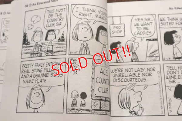 画像4: ct-140812-28 PEANUTS / 1990 An Educated Slice Book
