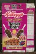 画像1: ad-130507-01 Kellogg's / Raisin Bran 1994 Cereal Box (1)