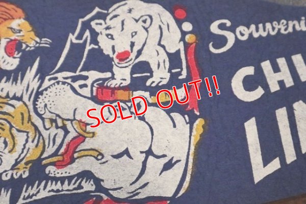 画像3: ct-181101-81 Chicago Lincorn Park Zoo / Vintage Pennant