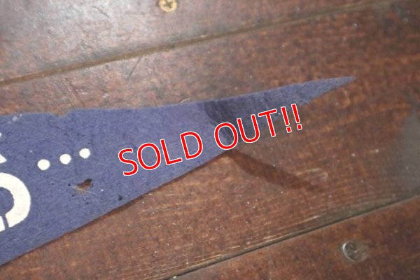 画像6: ct-181101-81 Chicago Lincorn Park Zoo / Vintage Pennant