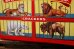 画像3: dp-181101-80 Nabisco / 85th Anniversary Barnum's Animals Crackers Tin Can