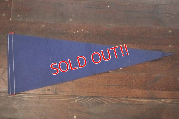 画像7: ct-181101-81 Chicago Lincorn Park Zoo / Vintage Pennant