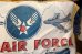 画像2: dp-181115-06 U.S.AIR FORCE / 1960's Cushion (2)