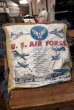 画像1: dp-181115-06 U.S.AIR FORCE / 1960's Cushion (1)