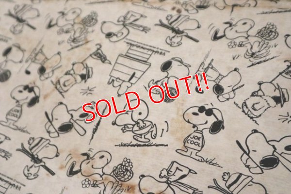 画像16: ct-181101-136 PEANUTS(Snoopy) / 1960's Trunk