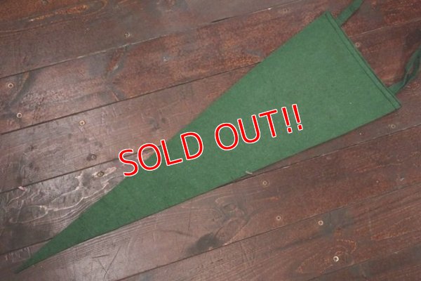 画像6: dp-181115-04 SIUOX FALLS / 1950's Pennant