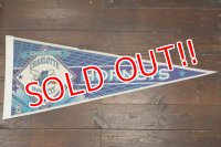 dp-181115-05 CHARLOTTE HORNETS / 1990's Pennant