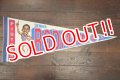 dp-181115-05 DETROIT PISTONS / DENNIS RODMAN 1980's Pennant