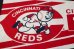 画像2: dp-181115-05 CINCINNATI REDS / 1980's Pennant (2)