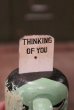 画像6: ct-180801-76 PRIDE CREATIONS / 1960's POPSIES "Thinking of You"