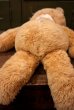 画像7: ct-181101-139 Fozzie Bear / Eden Toys 1990's Plush Doll