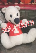 ct-181203-53 ICEE BEAR / 1970's Plush Doll