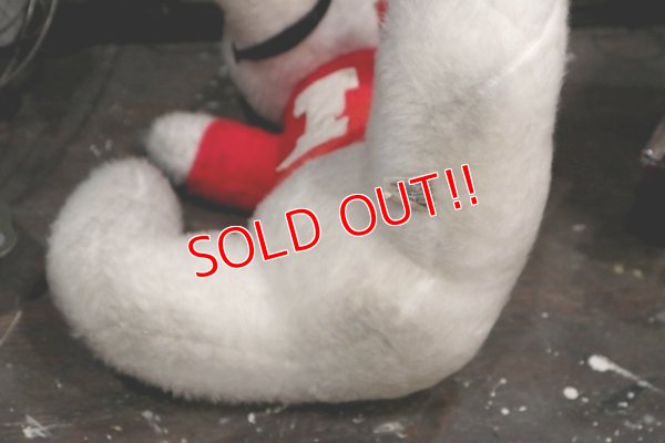 画像6: ct-181203-53 ICEE BEAR / 1970's Plush Doll