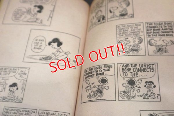 画像5: ct-181203-77 PEANUTS / 1970 Comic "You've Done It Again,Charlie Brown"