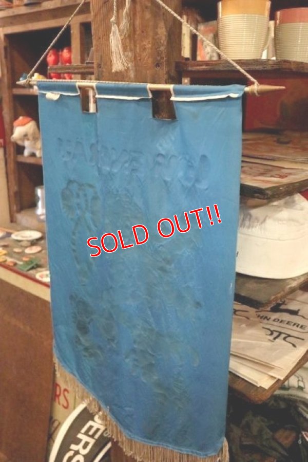 画像7: dp-190201-12 Lowenbrau / 1970's Banner