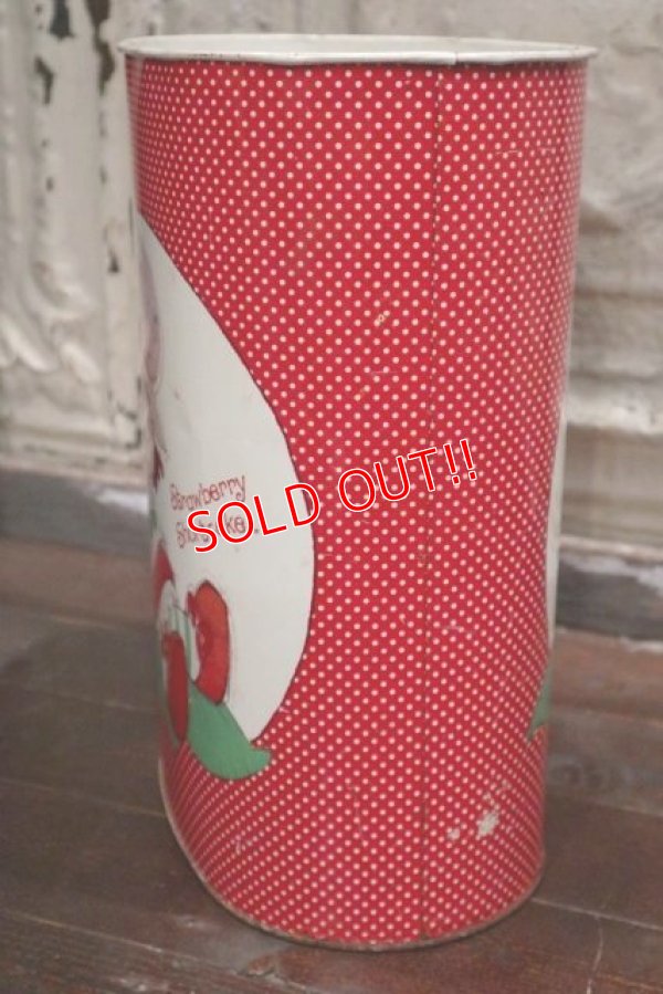 画像8: ct-1902021-10 Strawberry Shortcake / Cheinco 1980's Trash Box