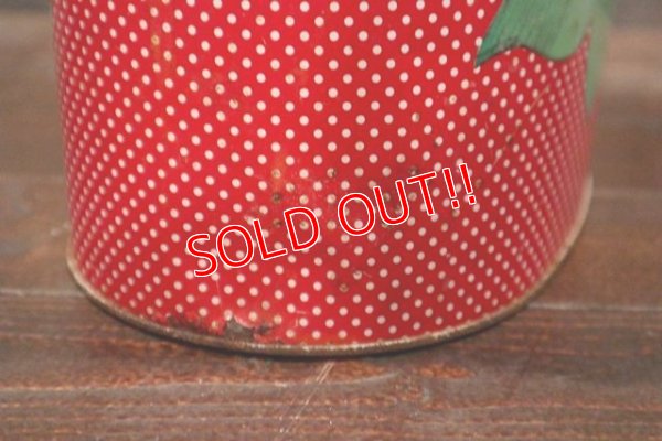 画像9: ct-1902021-10 Strawberry Shortcake / Cheinco 1980's Trash Box