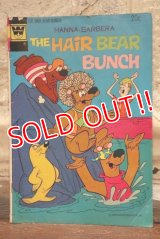 bk-131211-27 The Hair Bear Bunch / Whitman 1973 Comic