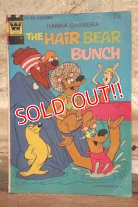 bk-131211-27 The Hair Bear Bunch / Whitman 1973 Comic
