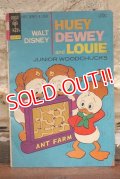 bk-120815-07 Huey Dewey and Louie / Gold Key 1974 Comic