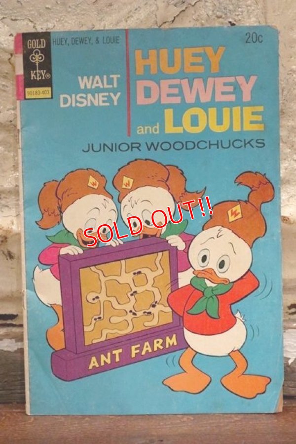 画像1: bk-120815-07 Huey Dewey and Louie / Gold Key 1974 Comic