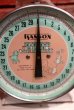 画像2: dp-190201-52 HANSON / 1950's Nursery Scale  (2)