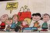 画像5: ct-150115-08 PEANUTS / 1970's Pillow Case