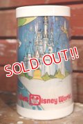 ct-1902021-112 Walt Disney World / 1970's Plastic Mug