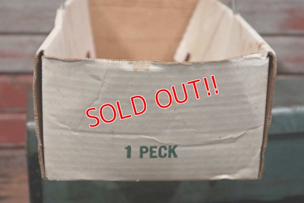 画像10: dp-190201-76 FARM FRESH / Vintage Cardboard Box