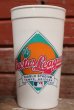 画像1: dp-130625-01 California Angels / 1990's Cactus League Plastic Cup (1)