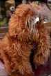 画像6: ct-120124-32 Aloysius Snuffleupagus (Snuffy) / Knickerbocker 1970's Plush Doll 