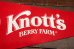 画像3: ct-190301-28 Knott's Berry Farm / Camp Snoopy Pennant