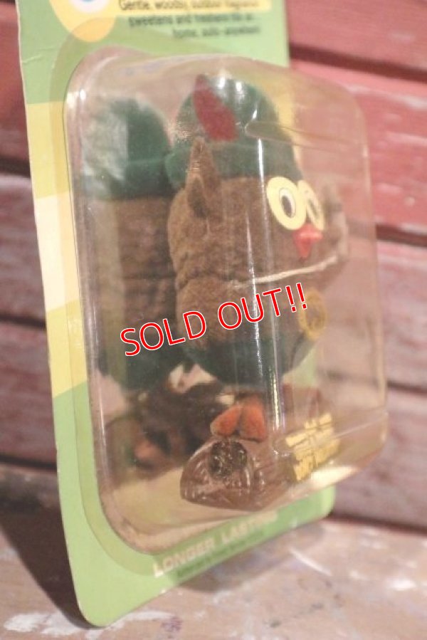 画像3: ct-190401-07 Woodsy Owl / 1970's Air Freshner