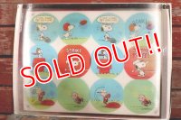 ct-190401-10 Snoopy / Lenticular Sheet (A)