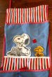 画像2: ct-190401-44 PEANUTS / 1970's Wall Pocket (2)