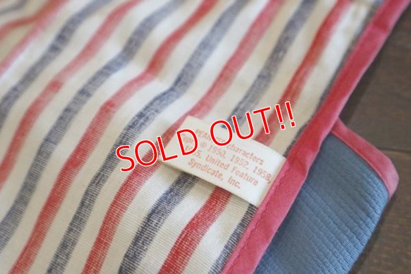 画像9: ct-190401-44 PEANUTS / 1970's Wall Pocket