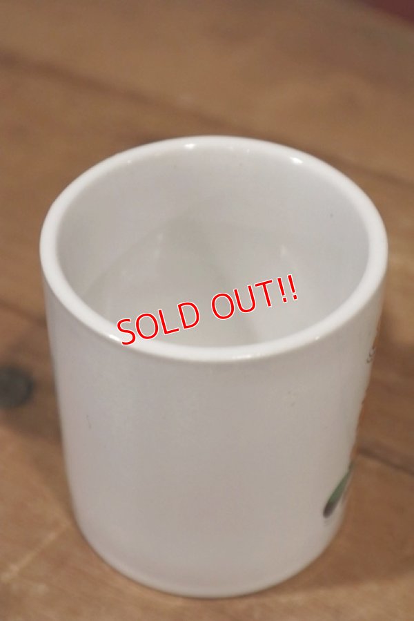 画像4: ct-190401-62 Magic Mountain / Souvenir Mug