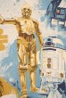 画像5: ct-190402-45 STAR WARS / 1970's Flat Sheet(Twin size)