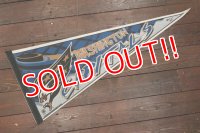dp-190522-15 Washington Capitals / 1990's Pennant