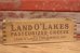 画像2: dp-190522-03 LAND O' LAKES / Vintage Cheese Box (2)