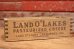 画像1: dp-190522-03 LAND O' LAKES / Vintage Cheese Box (1)