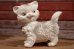 画像1: ct-190605-65 Edward Mobley / 1960's Cat Squeak Doll (1)