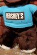 画像4: ct-190605-31 HERSHEY'S / Hershey Bear 1982 Plush Doll