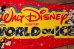 画像4: ct-190605-71 Walt Disney's / World on Ice 1970's Pennant