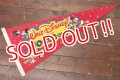 ct-190605-71 Walt Disney's / World on Ice 1970's Pennant